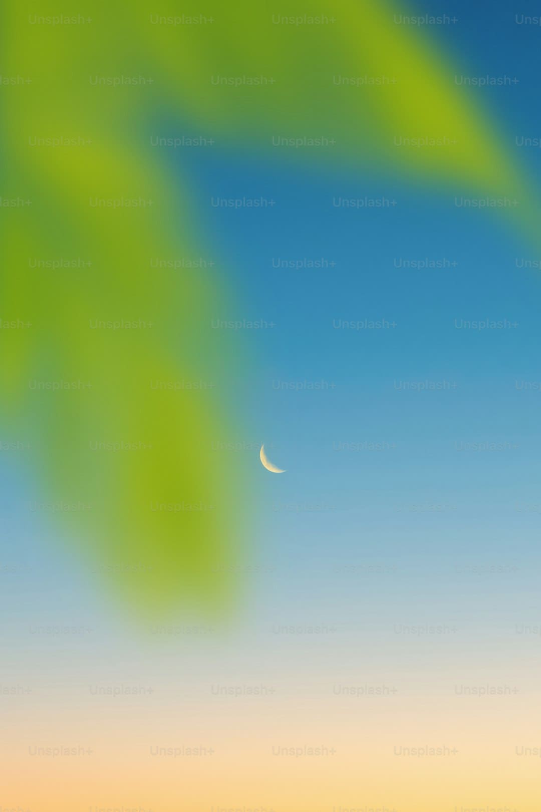 杨默依全新EP《不率直》正式官宣 首波主打曲《昙花》诠释惋惜美学